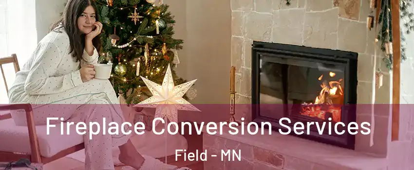 Fireplace Conversion Services Field - MN