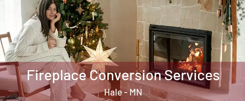 Fireplace Conversion Services Hale - MN