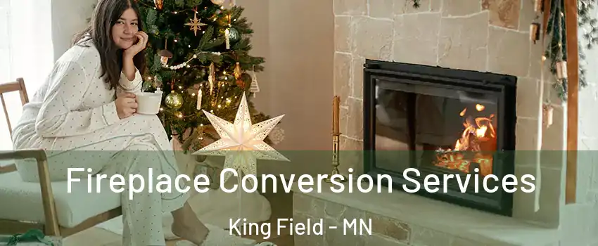 Fireplace Conversion Services King Field - MN