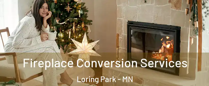 Fireplace Conversion Services Loring Park - MN