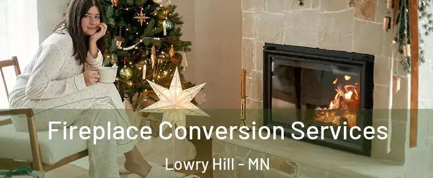 Fireplace Conversion Services Lowry Hill - MN