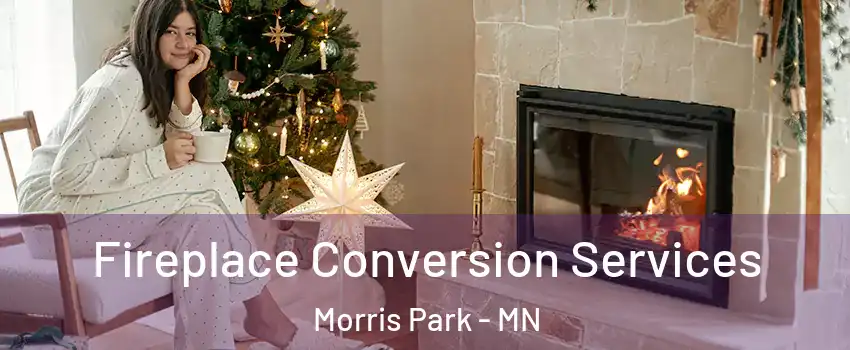 Fireplace Conversion Services Morris Park - MN