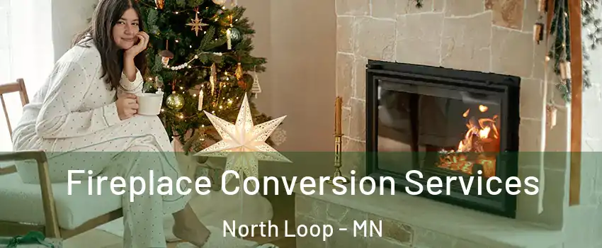 Fireplace Conversion Services North Loop - MN