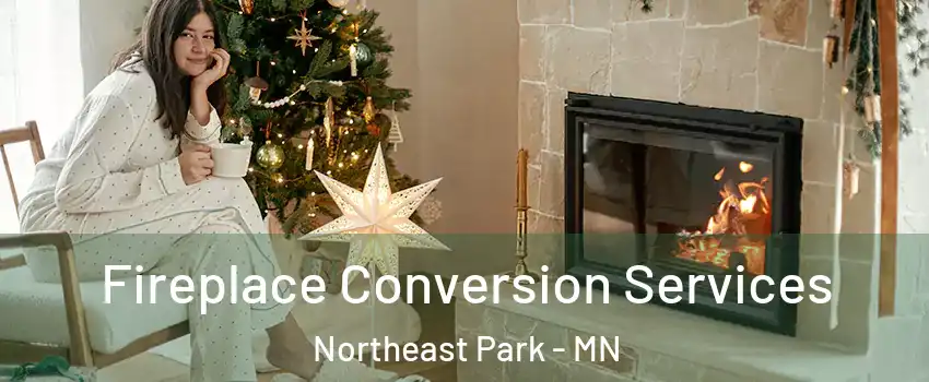 Fireplace Conversion Services Northeast Park - MN