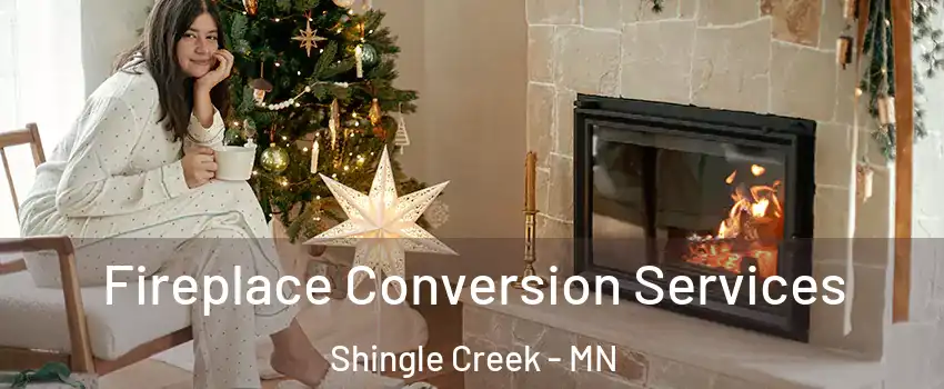 Fireplace Conversion Services Shingle Creek - MN