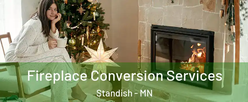 Fireplace Conversion Services Standish - MN