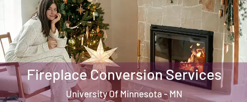 Fireplace Conversion Services University Of Minnesota - MN