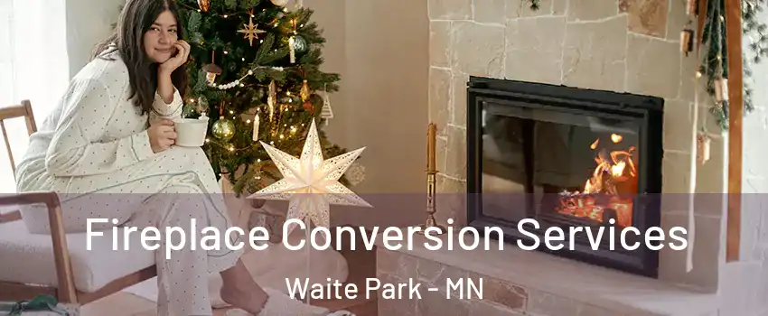 Fireplace Conversion Services Waite Park - MN
