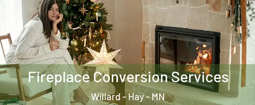 Fireplace Conversion Services Willard - Hay - MN