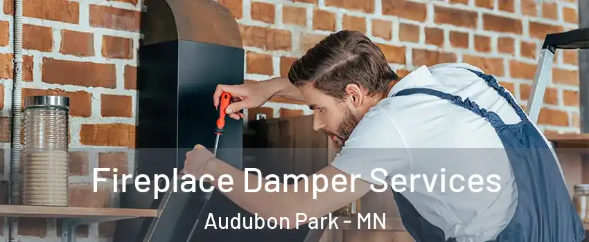 Fireplace Damper Services Audubon Park - MN