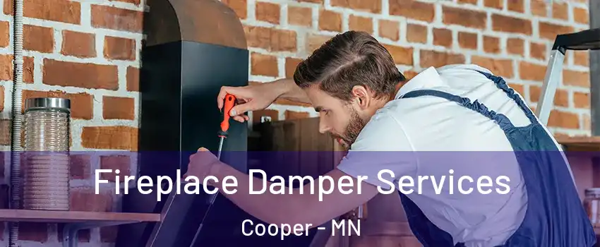 Fireplace Damper Services Cooper - MN