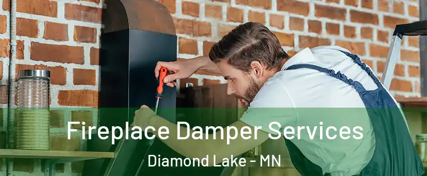 Fireplace Damper Services Diamond Lake - MN