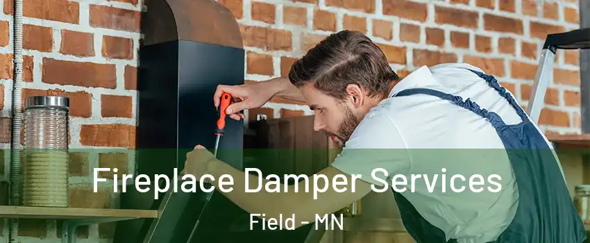 Fireplace Damper Services Field - MN
