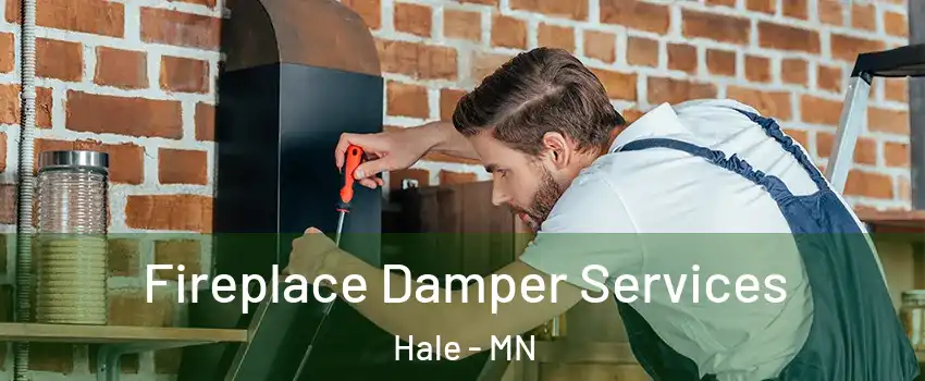 Fireplace Damper Services Hale - MN