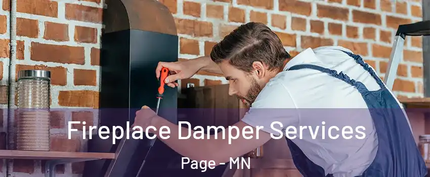 Fireplace Damper Services Page - MN