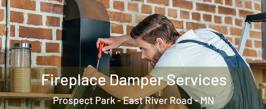 Fireplace Damper Services Prospect Park - East River Road - MN