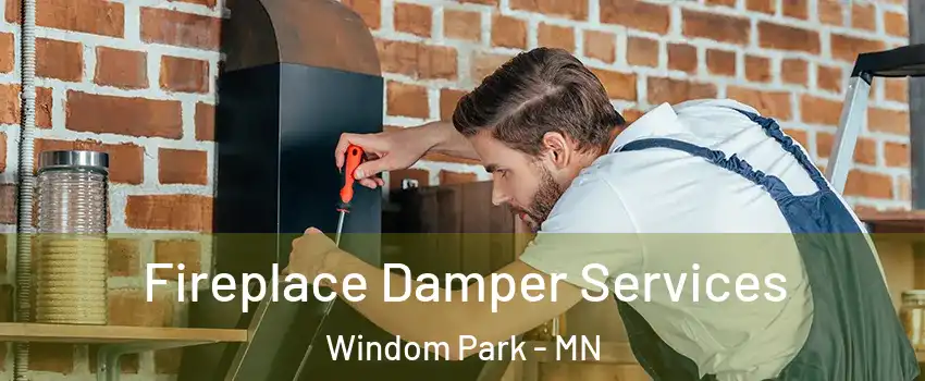 Fireplace Damper Services Windom Park - MN