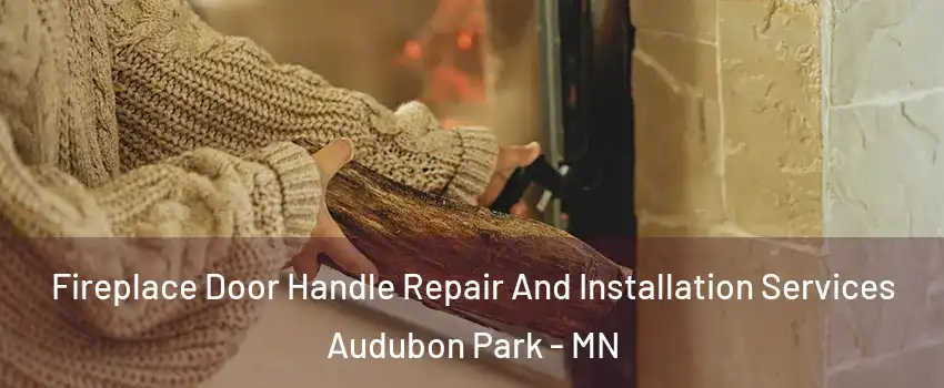 Fireplace Door Handle Repair And Installation Services Audubon Park - MN