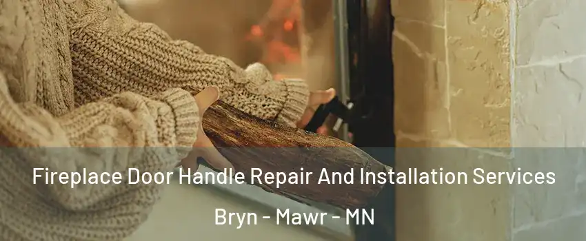 Fireplace Door Handle Repair And Installation Services Bryn - Mawr - MN