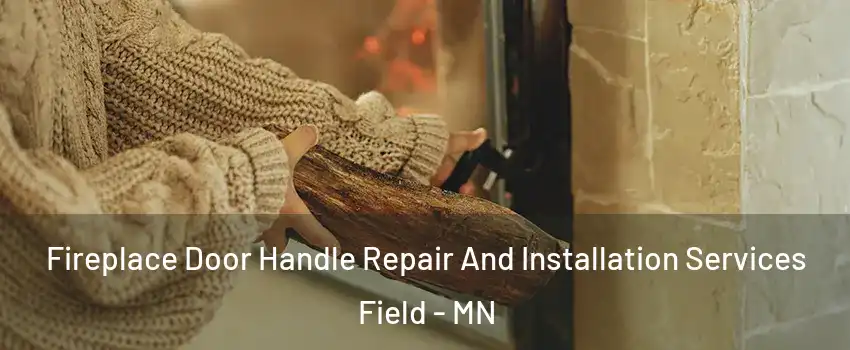 Fireplace Door Handle Repair And Installation Services Field - MN