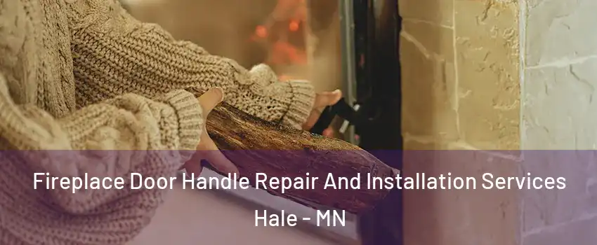 Fireplace Door Handle Repair And Installation Services Hale - MN