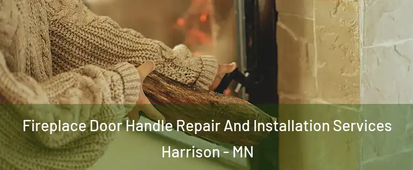 Fireplace Door Handle Repair And Installation Services Harrison - MN