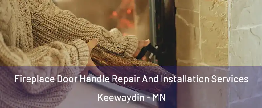 Fireplace Door Handle Repair And Installation Services Keewaydin - MN