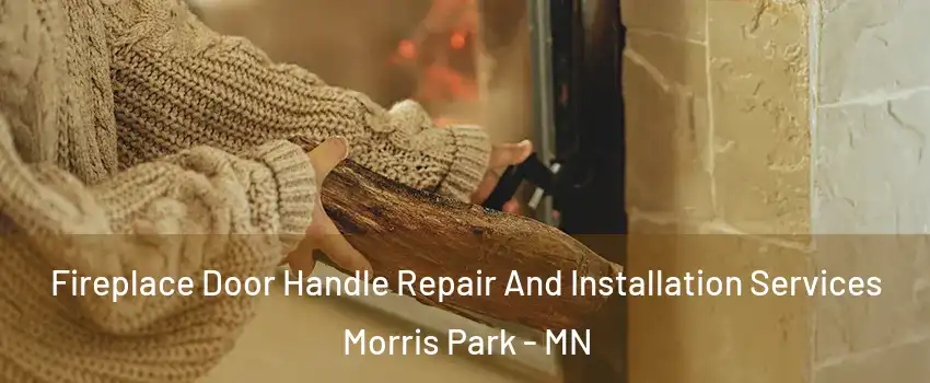 Fireplace Door Handle Repair And Installation Services Morris Park - MN