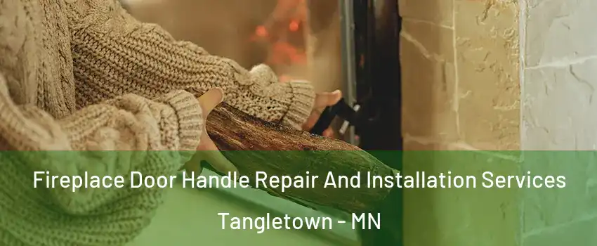 Fireplace Door Handle Repair And Installation Services Tangletown - MN