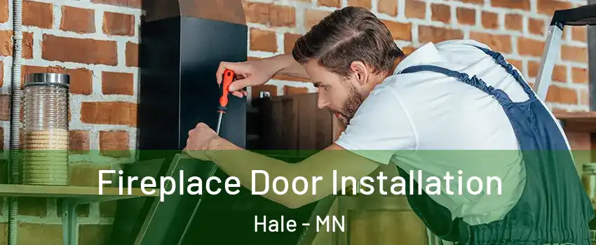 Fireplace Door Installation Hale - MN