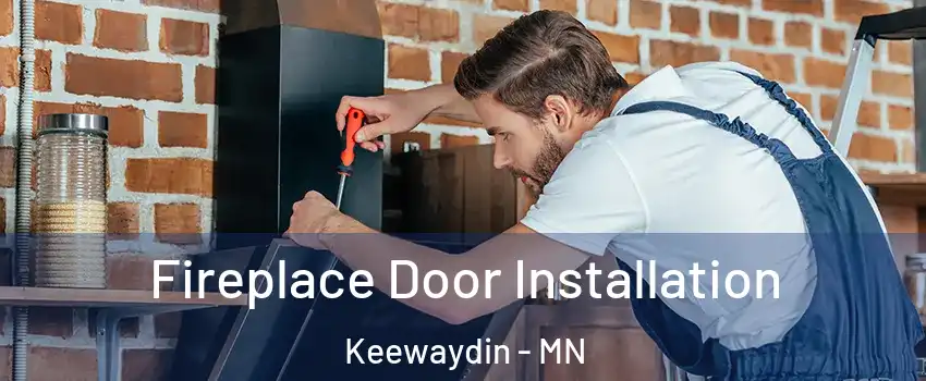 Fireplace Door Installation Keewaydin - MN