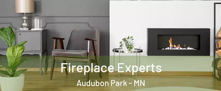 Fireplace Experts Audubon Park - MN