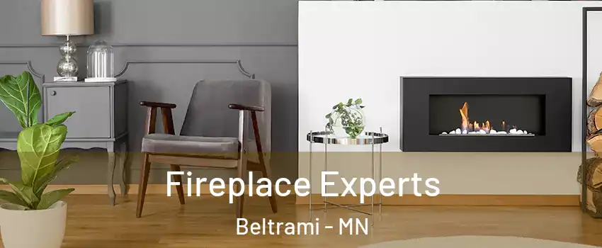 Fireplace Experts Beltrami - MN