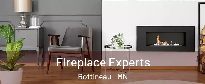 Fireplace Experts Bottineau - MN
