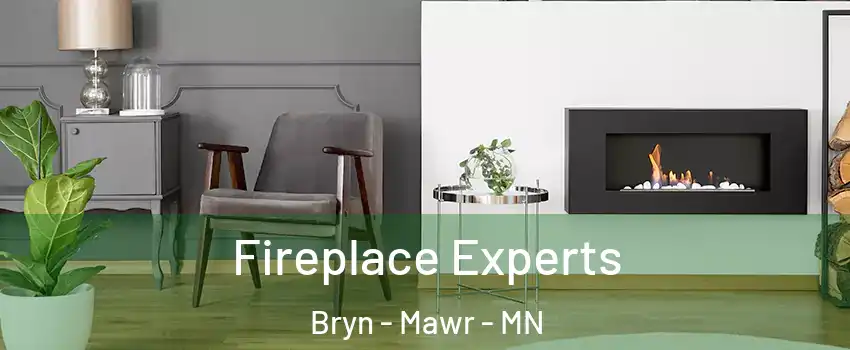 Fireplace Experts Bryn - Mawr - MN