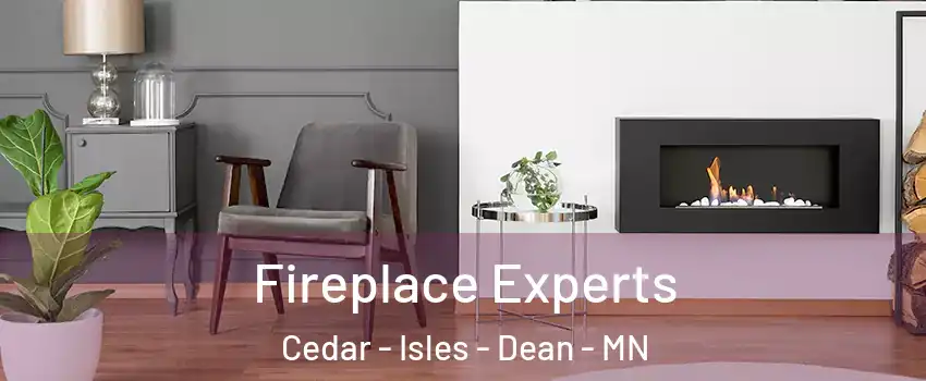 Fireplace Experts Cedar - Isles - Dean - MN