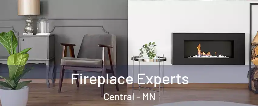 Fireplace Experts Central - MN