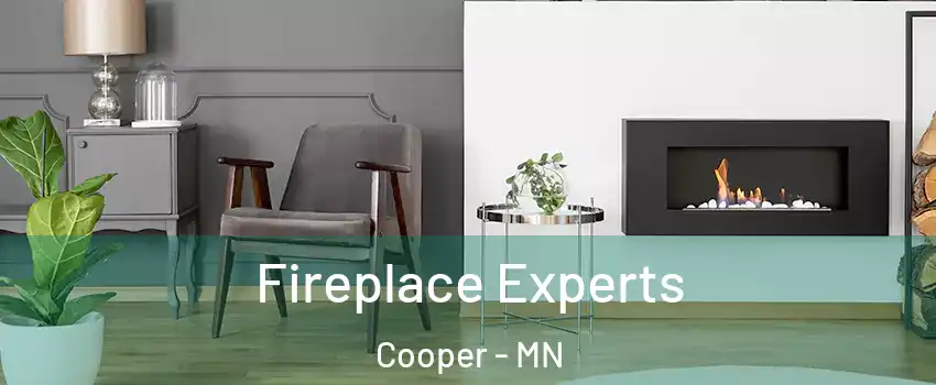 Fireplace Experts Cooper - MN