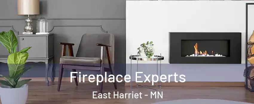 Fireplace Experts East Harriet - MN