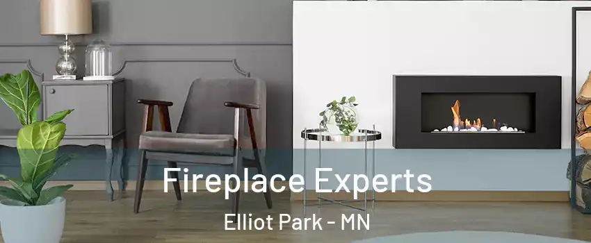 Fireplace Experts Elliot Park - MN