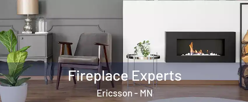 Fireplace Experts Ericsson - MN