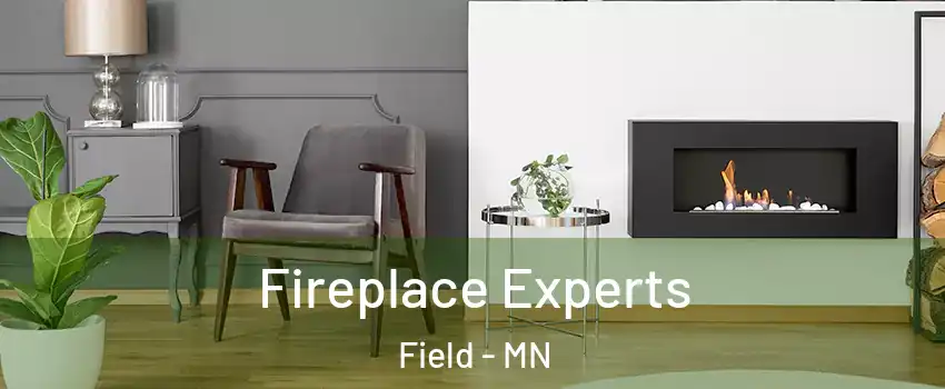 Fireplace Experts Field - MN