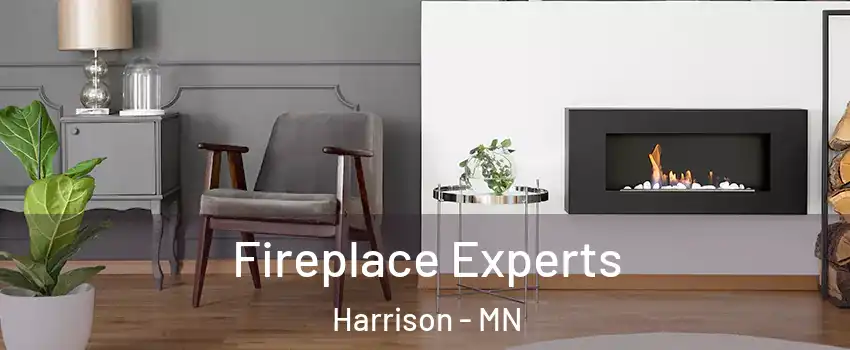 Fireplace Experts Harrison - MN