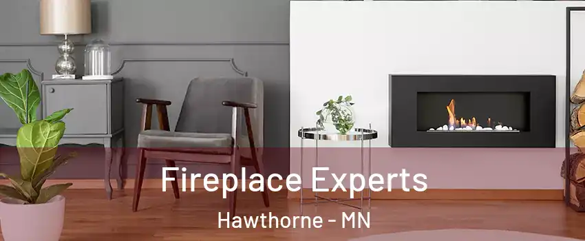 Fireplace Experts Hawthorne - MN
