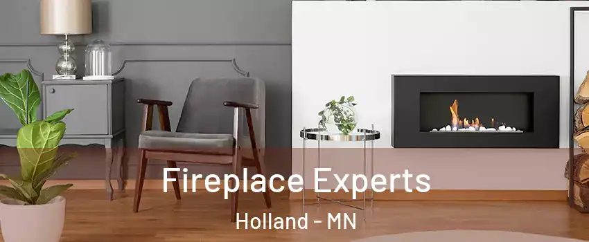 Fireplace Experts Holland - MN