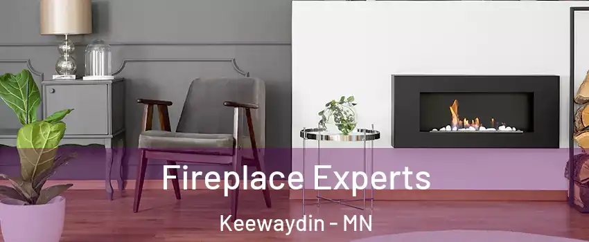 Fireplace Experts Keewaydin - MN