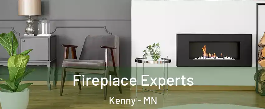 Fireplace Experts Kenny - MN