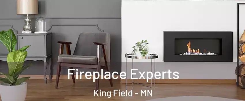 Fireplace Experts King Field - MN