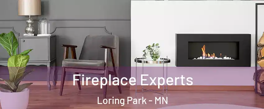 Fireplace Experts Loring Park - MN