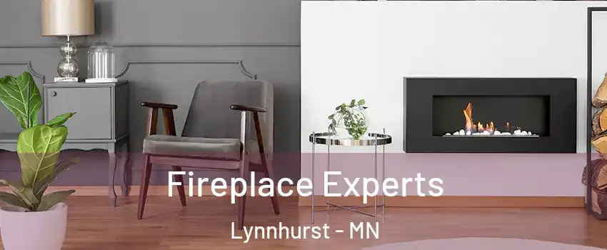 Fireplace Experts Lynnhurst - MN